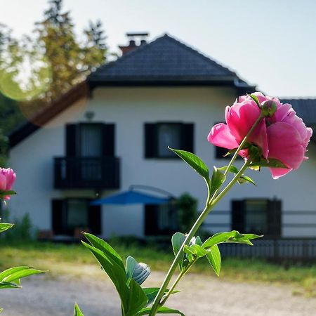 Apartments Zakrasnik Шкоф'я-Лока Екстер'єр фото