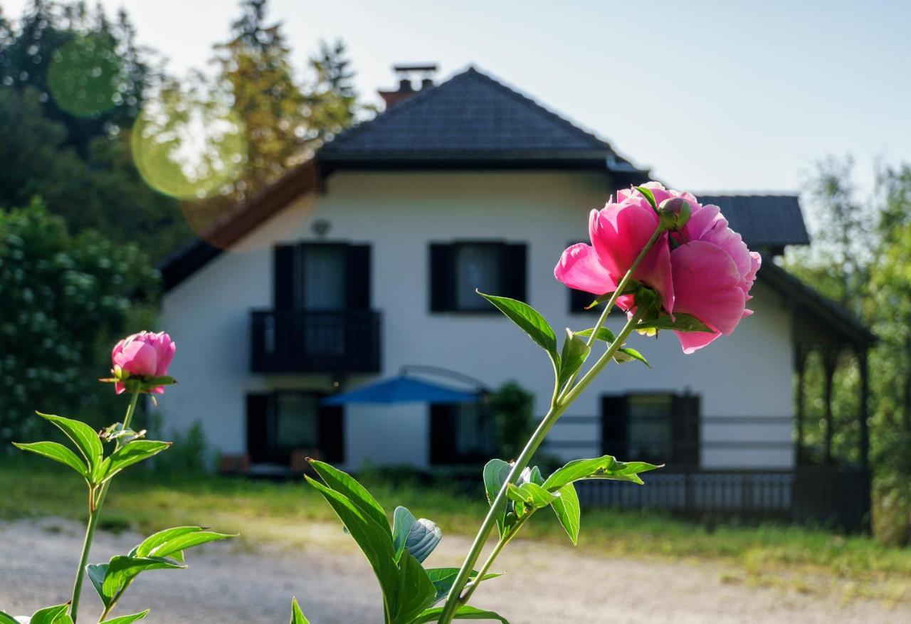 Apartments Zakrasnik Шкоф'я-Лока Екстер'єр фото