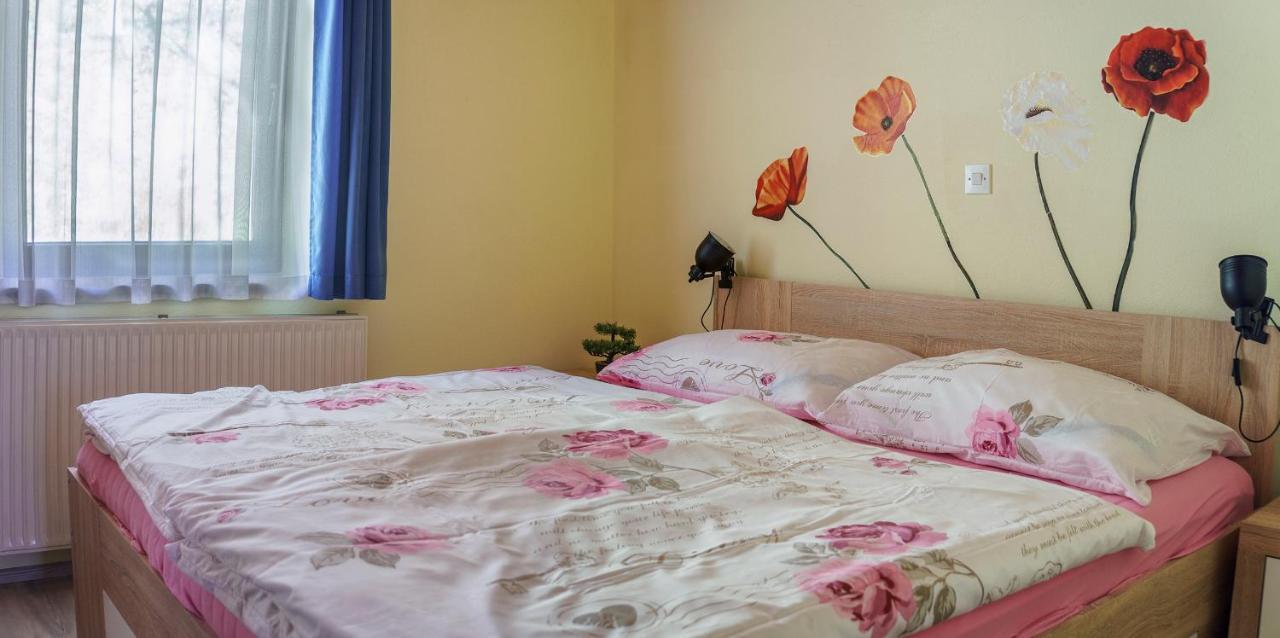 Apartments Zakrasnik Шкоф'я-Лока Екстер'єр фото