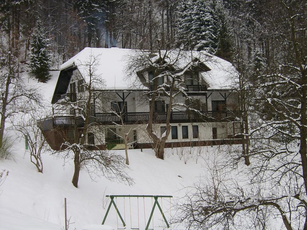 Apartments Zakrasnik Шкоф'я-Лока Екстер'єр фото