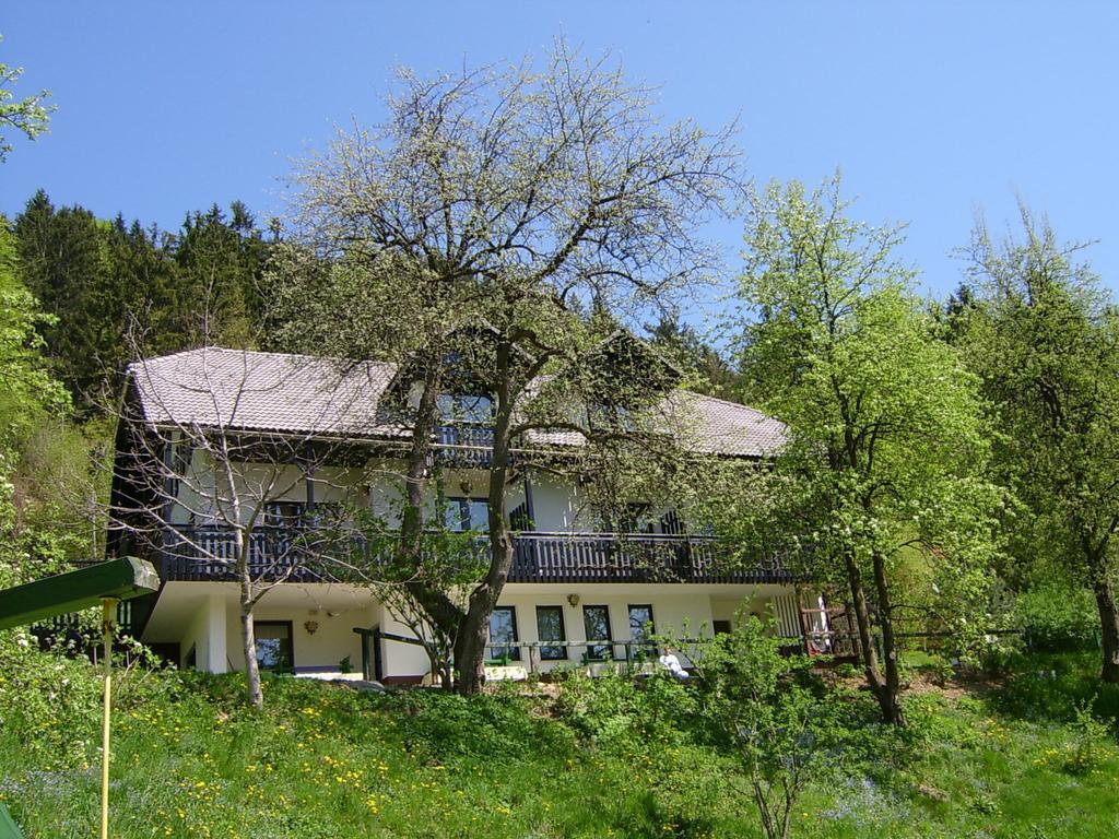 Apartments Zakrasnik Шкоф'я-Лока Екстер'єр фото