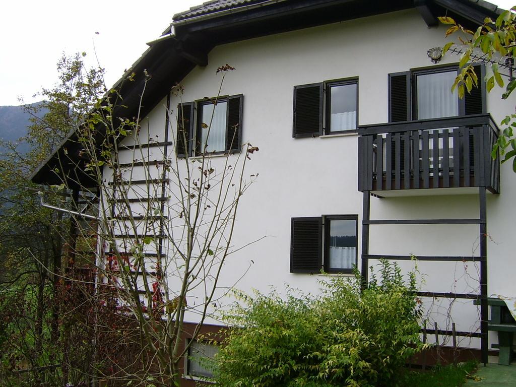 Apartments Zakrasnik Шкоф'я-Лока Номер фото